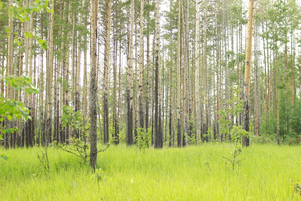 Photograph by Лилия Маяковски