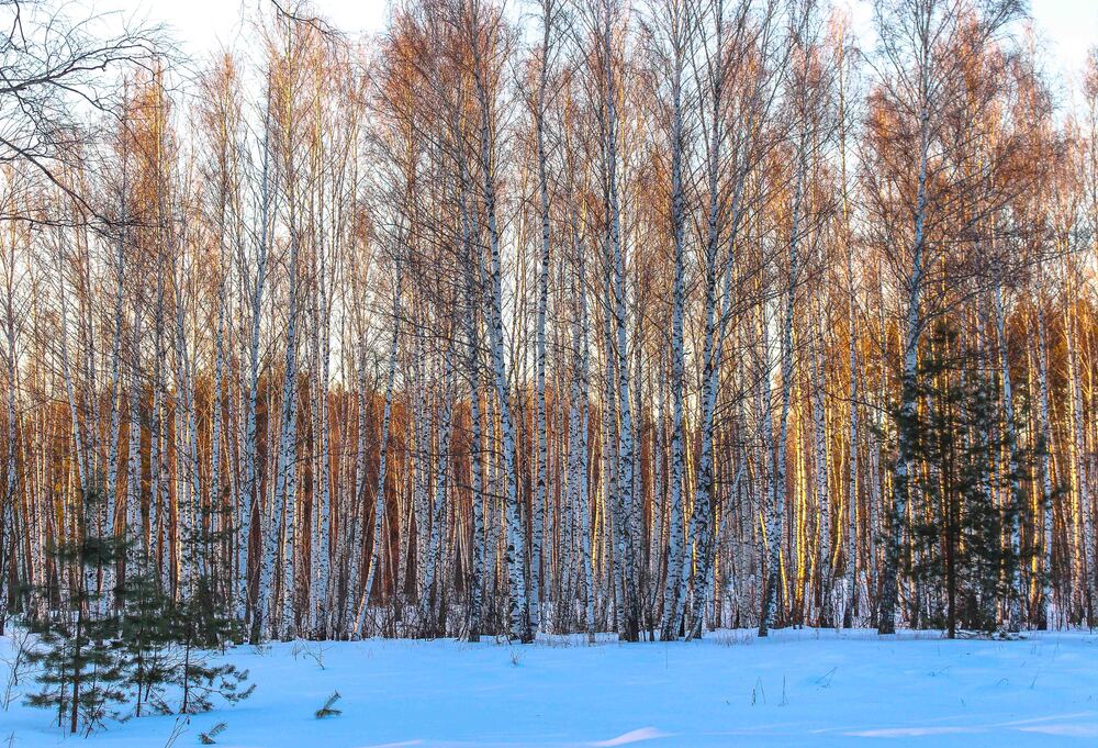 Photograph by Александр Довганюк
