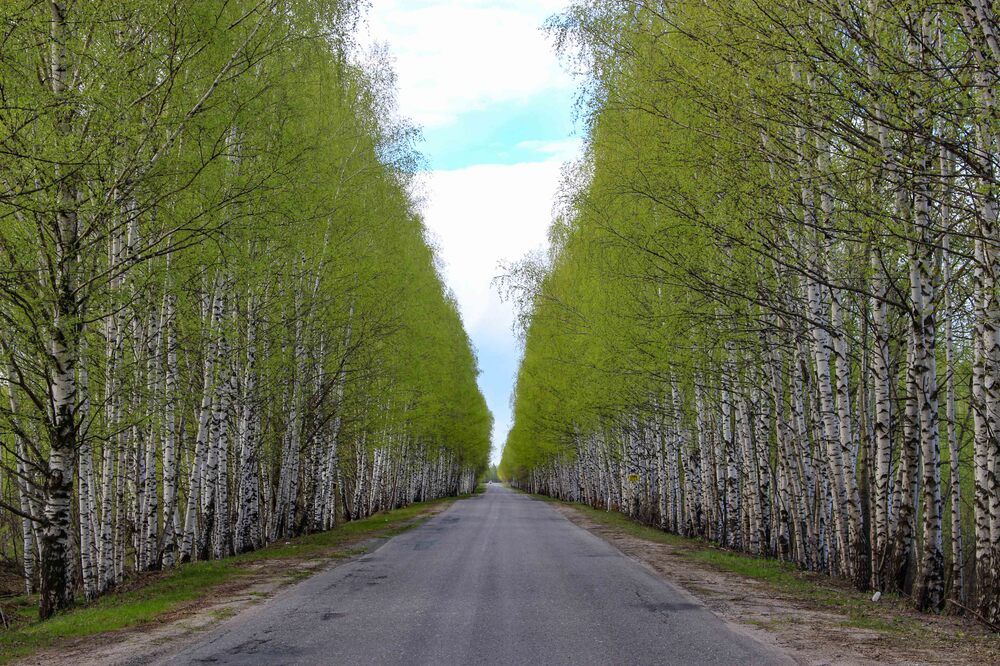 Фотография автора Александр Довганюк