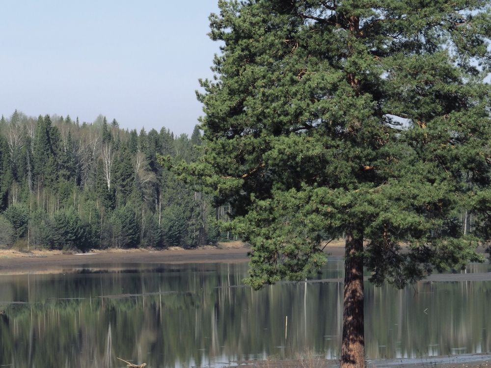 Photograph by Данила Мельников