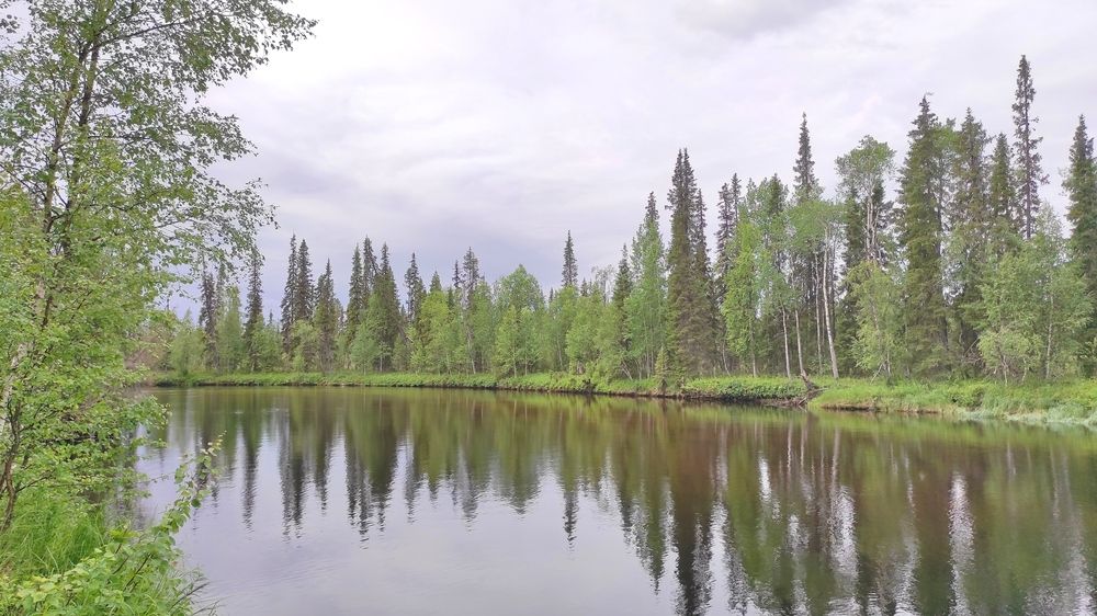 Photograph by Виолетта Клюева