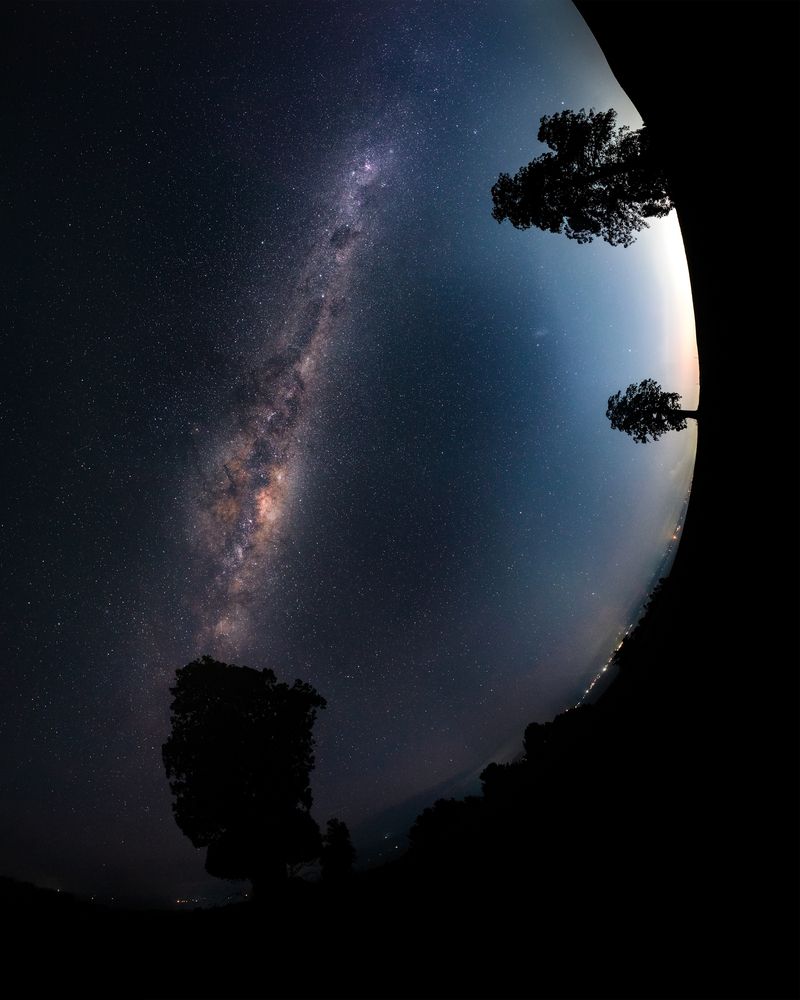 Photograph by Tomas Andonie