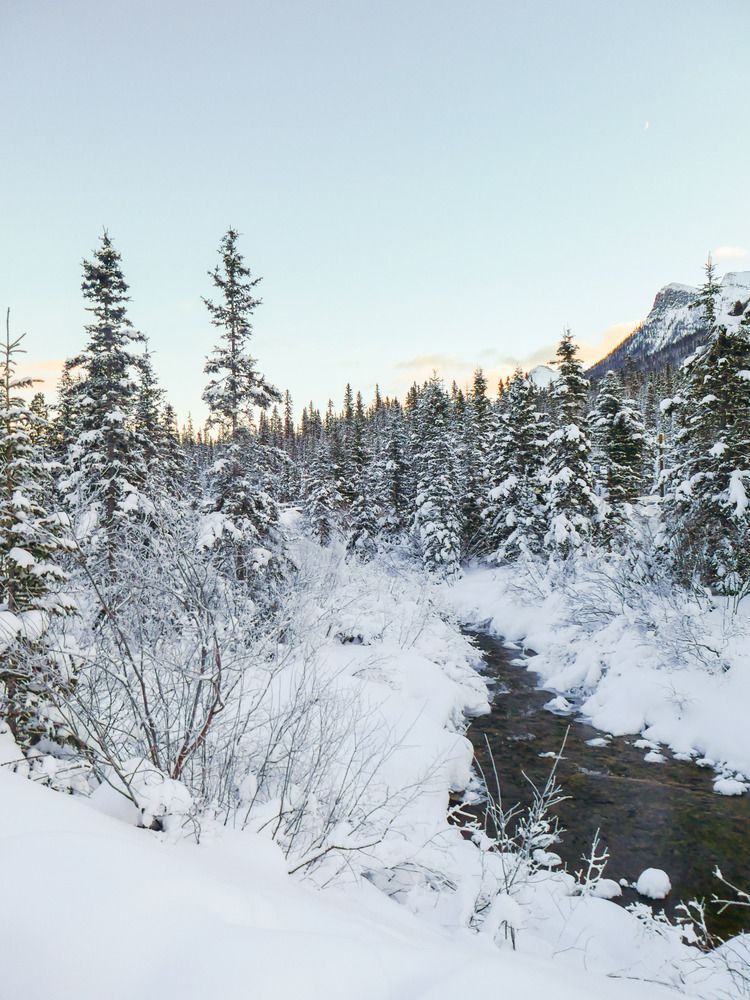 Photograph by Анатолий Костерев