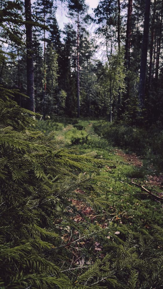 Фотография автора Андрей Уваров