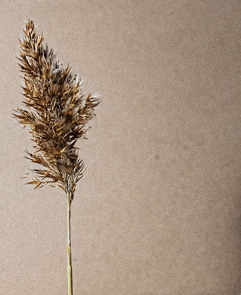 Photograph by Марина Костина