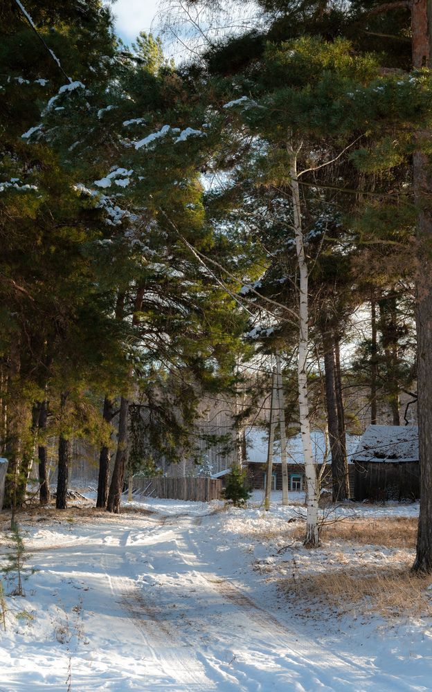 Photograph by Ольга Моисеева