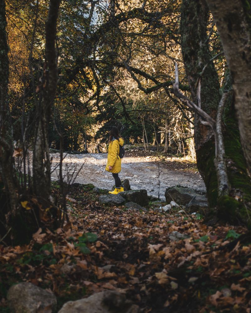 Фотография автора Андрей Уваров