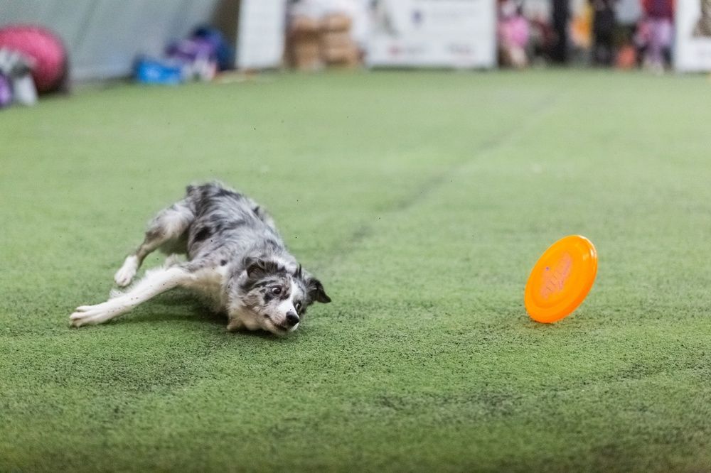 Photograph by Ольга