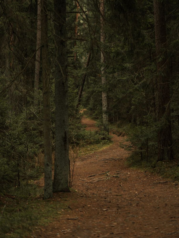 Photograph by Людмила