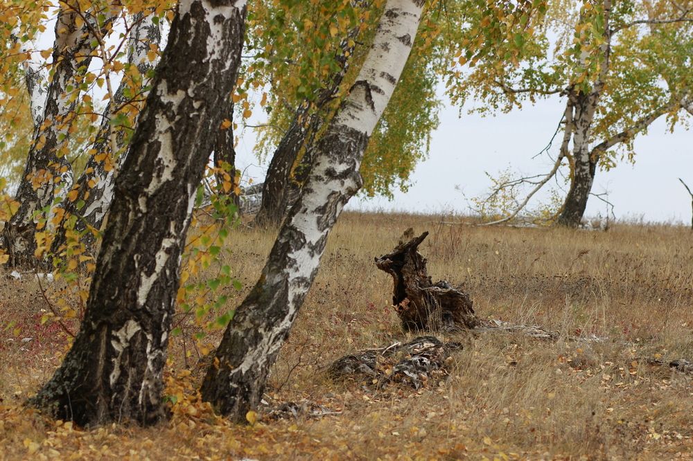 Photograph by Лилия Маяковски
