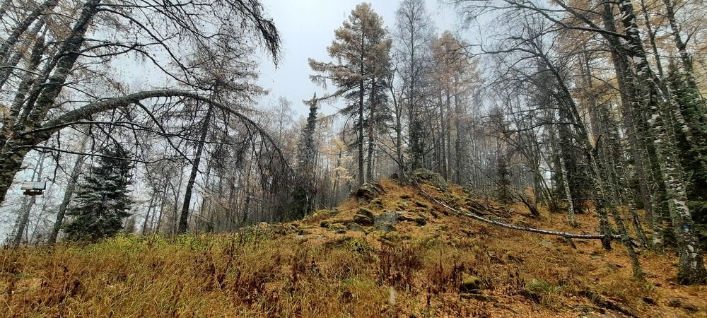 Photograph by Анна Марвина