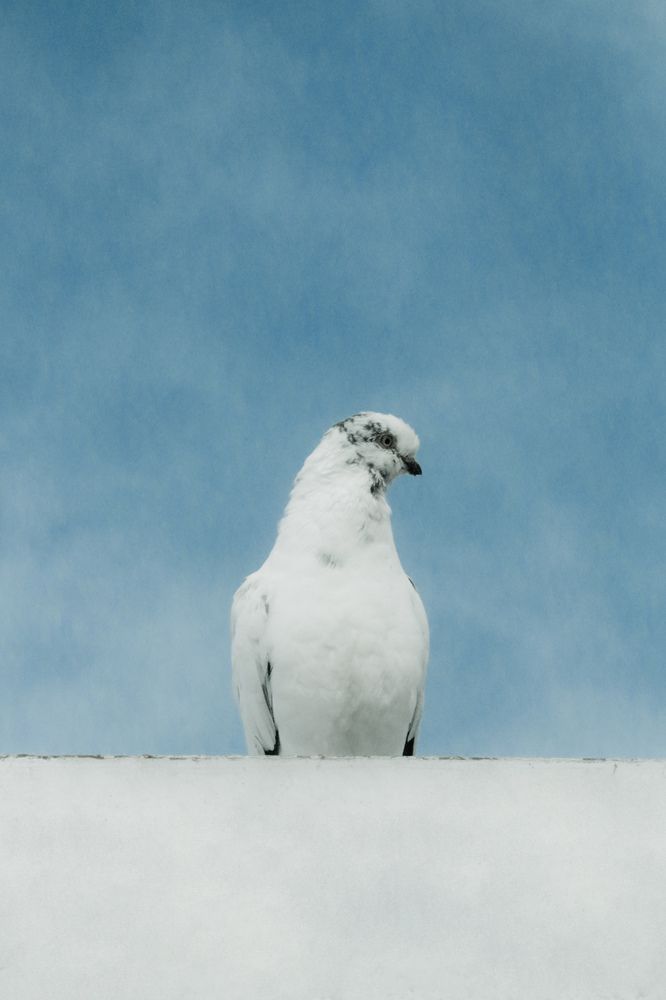 Фотография автора Tahani Almarafi