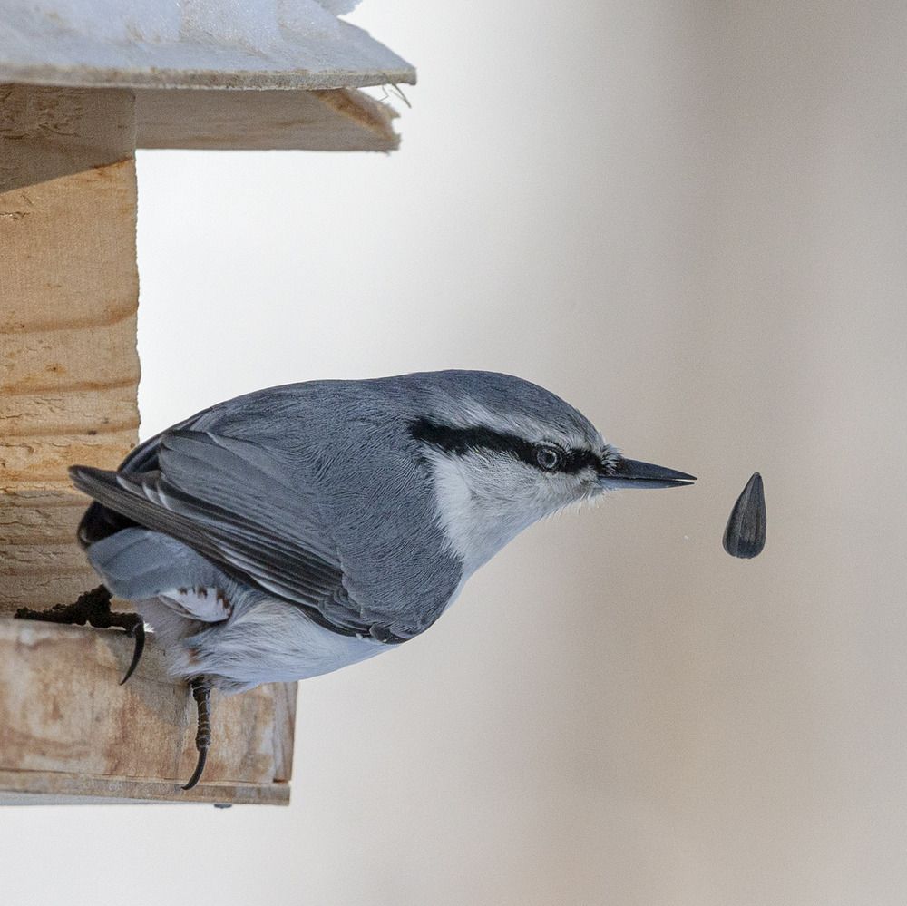 Фотография автора Анатолий Макоедов