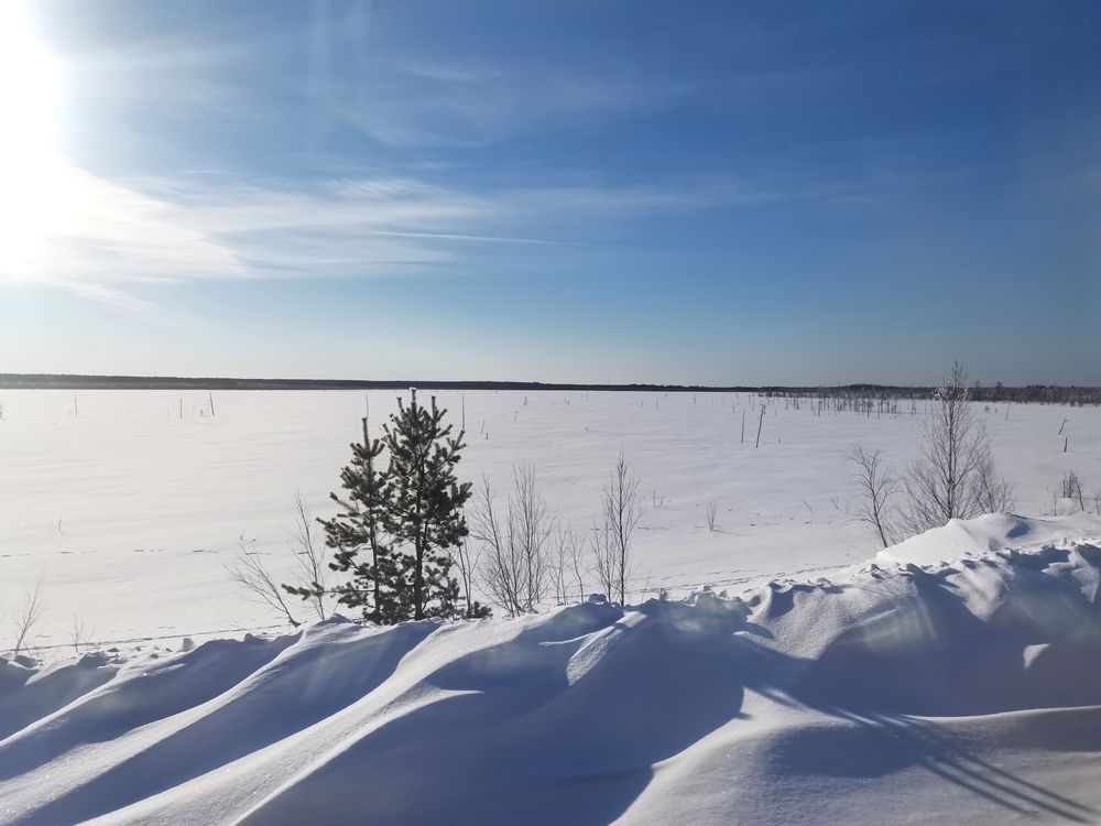 Photograph by Анастасия