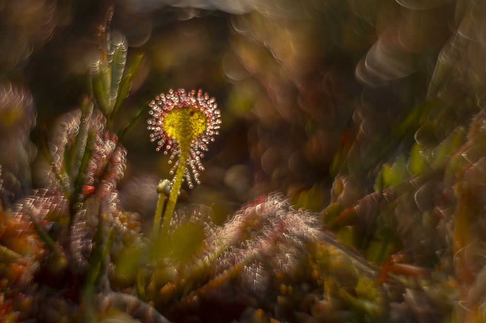 Photograph by Elżbieta Rogaczewska