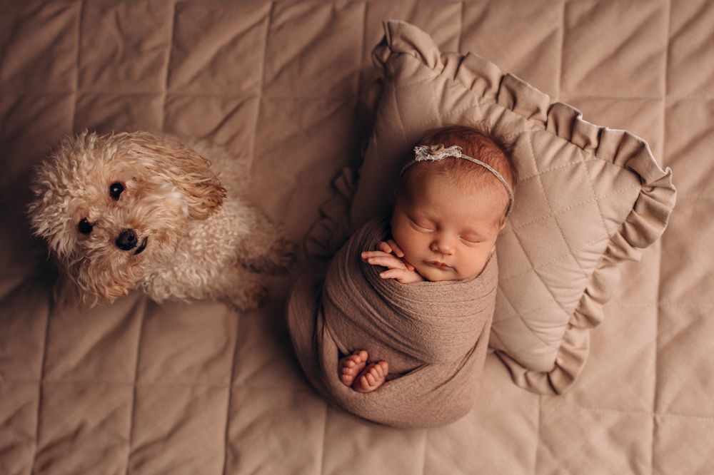 Photograph by Елена Зуйкова