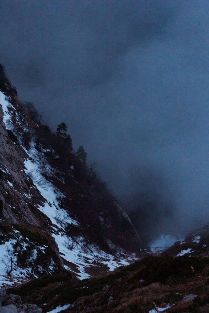 Фотография автора Евгений Петросян