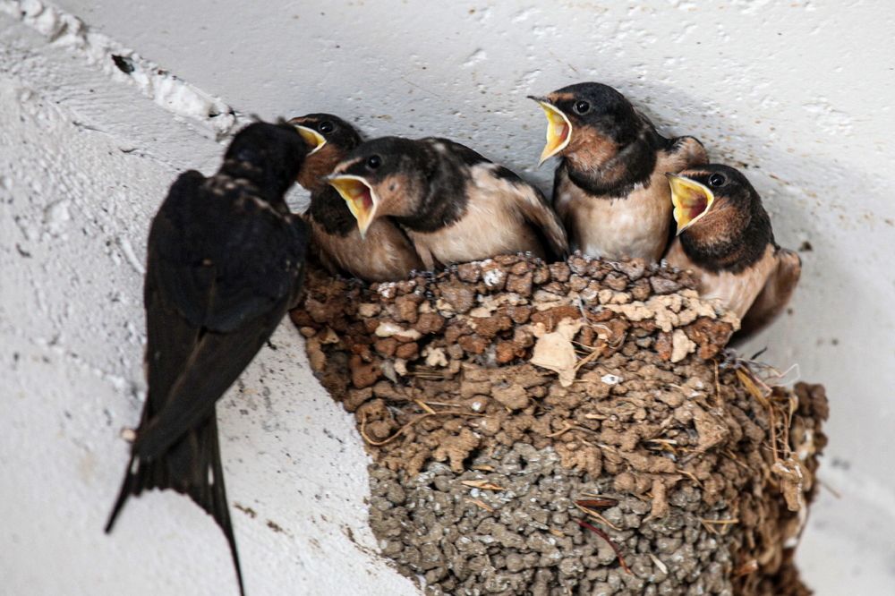 Photograph by Борис Лишневский