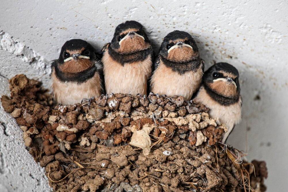 Photograph by Борис Лишневский