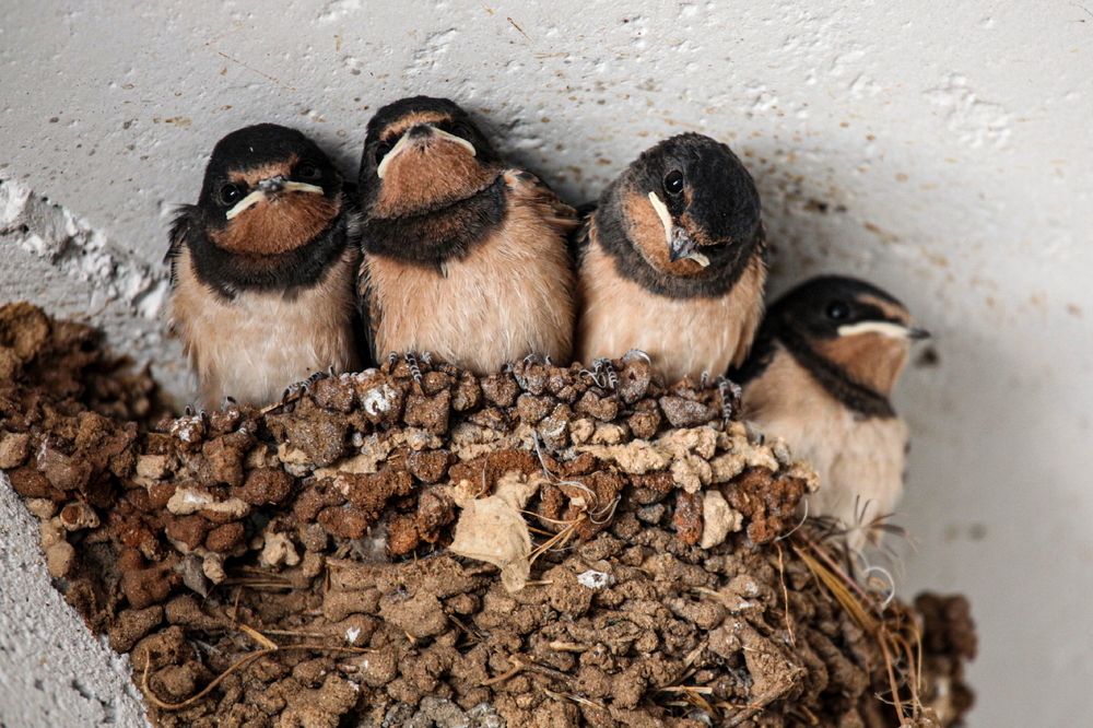 Photograph by Борис Лишневский