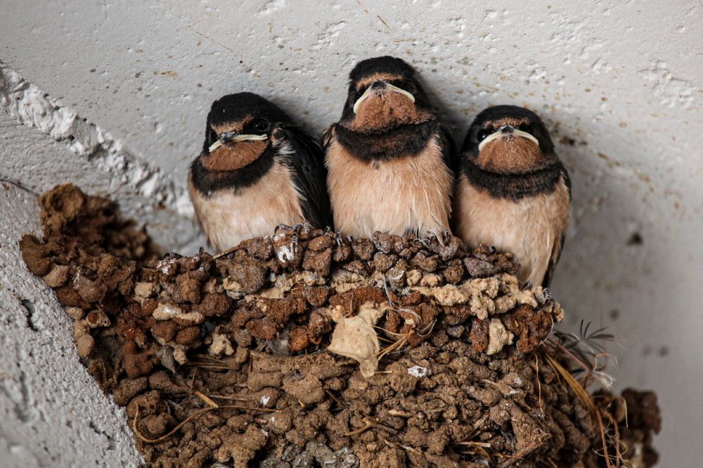 Photograph by Борис Лишневский