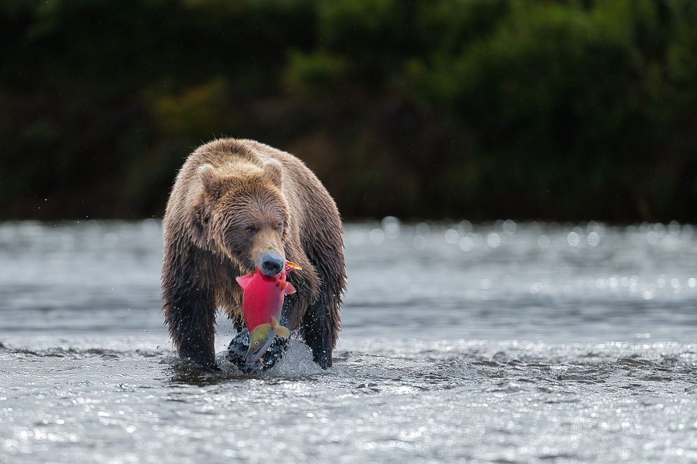 Photograph by Shuo-Wei Chang
