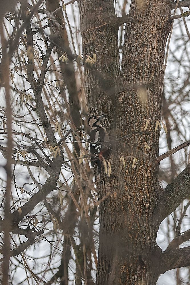 Фотография автора Анна Абрамова