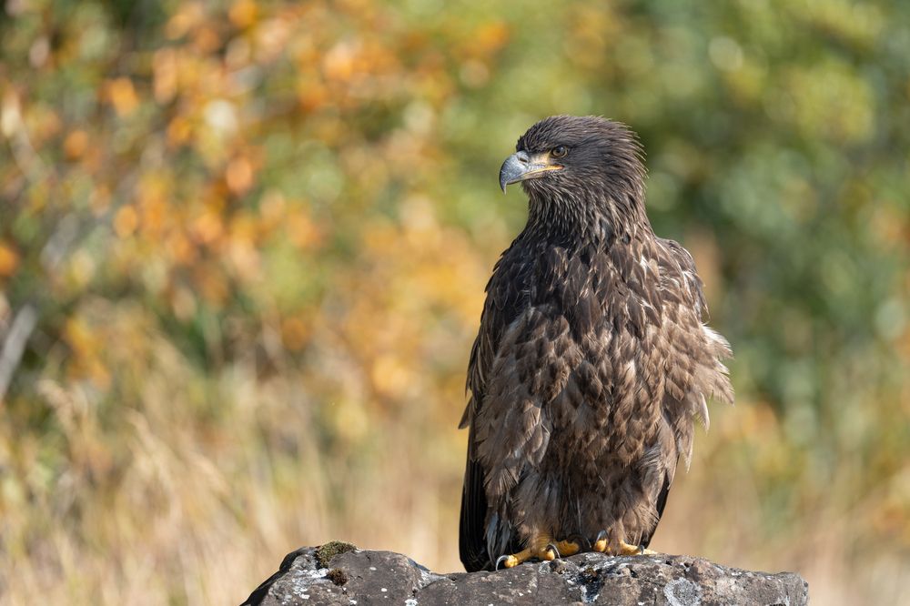 Photograph by Shuo-Wei Chang