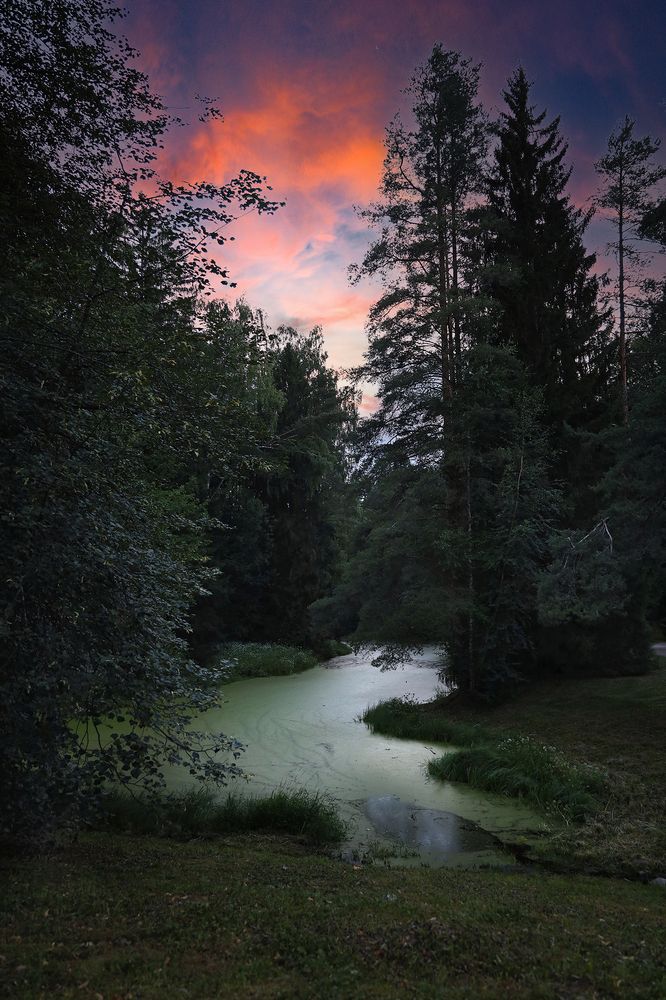 Photograph by Наталья Суслова