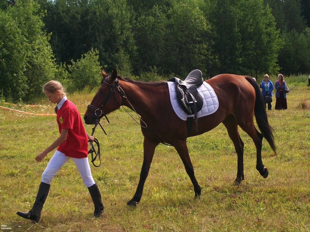 Photograph by Евгения Роде