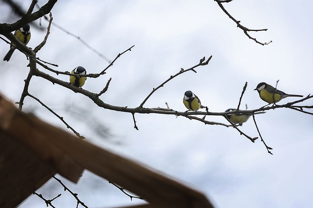 Фотография автора Анна Абрамова
