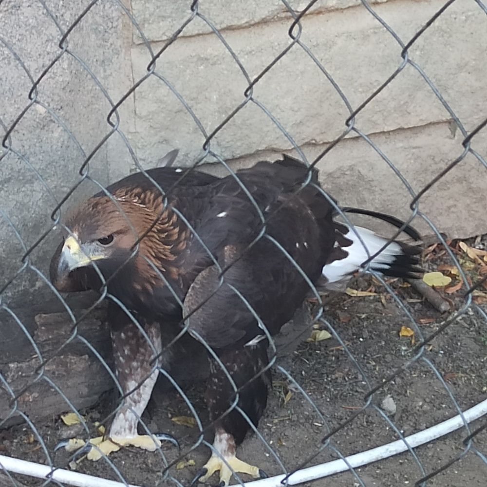 Photograph by Валерия Сопова