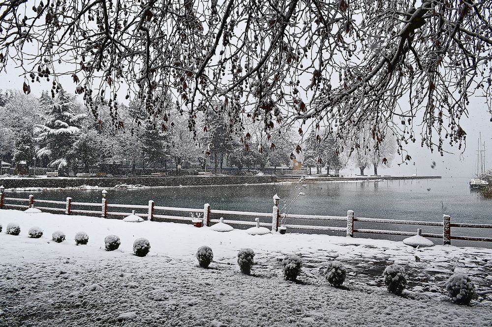 Photograph by Stojan Saveski