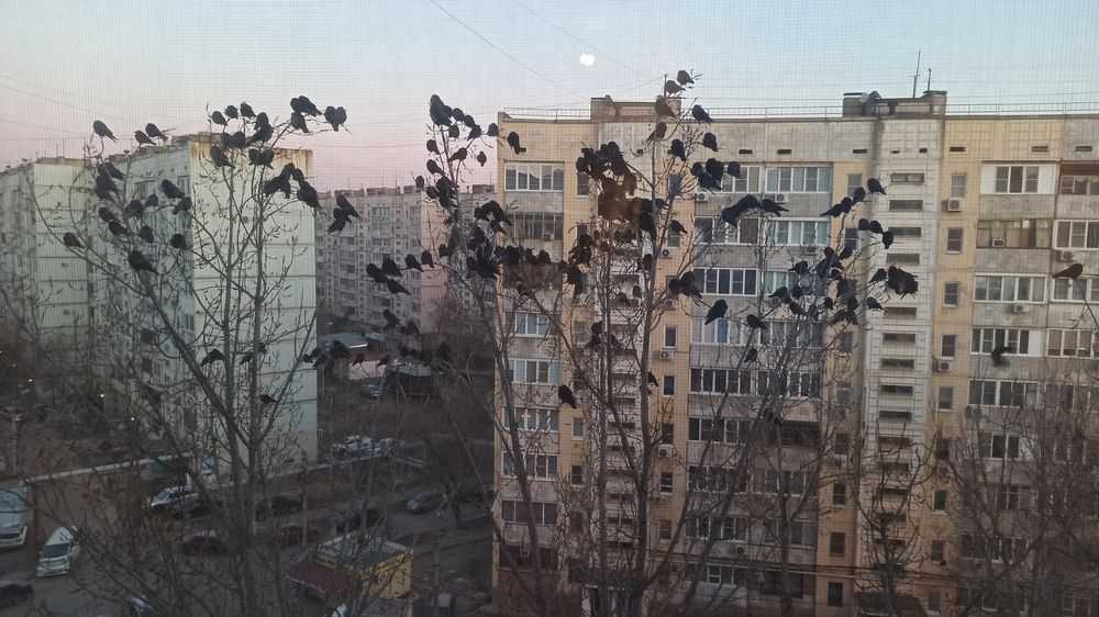 Photograph by Валерия Сопова