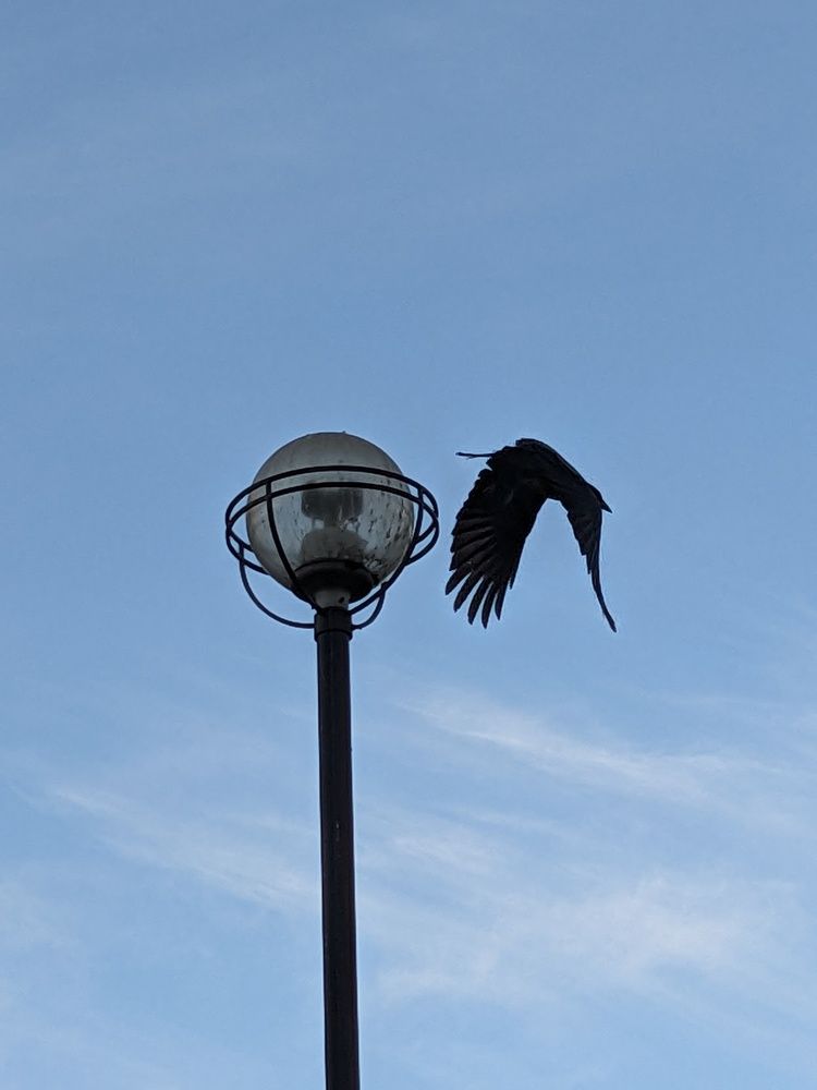 Photograph by Татьяна Вячеславовна