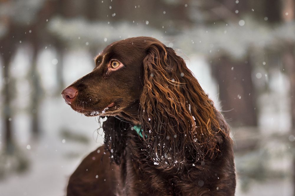 Фотография автора Андрей Красков