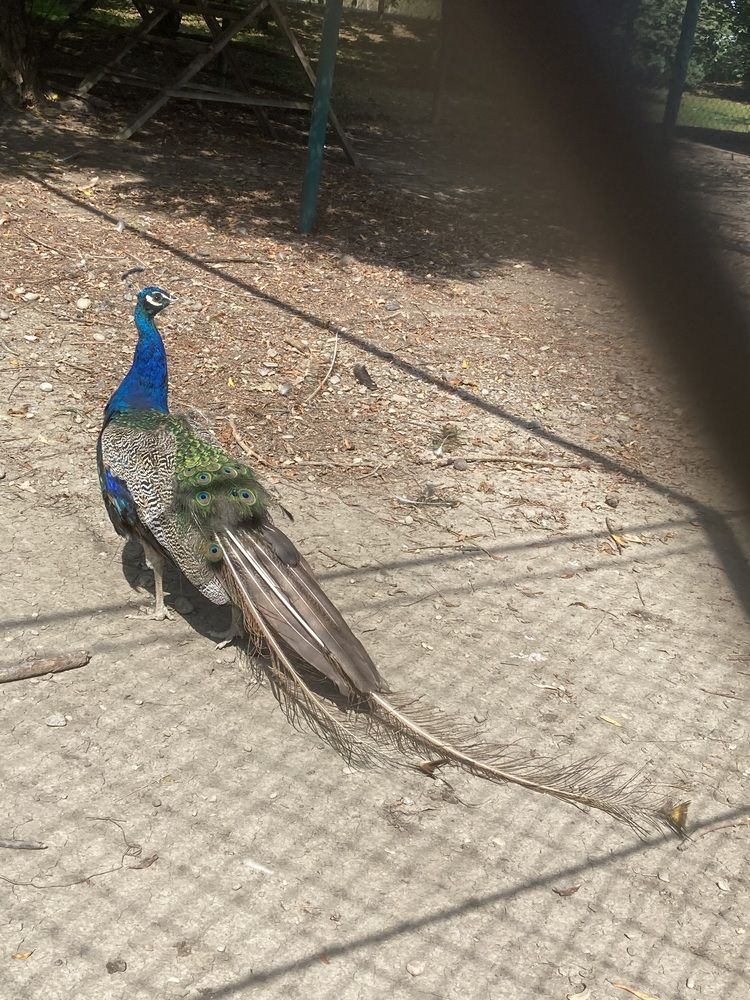 Photograph by Светлана