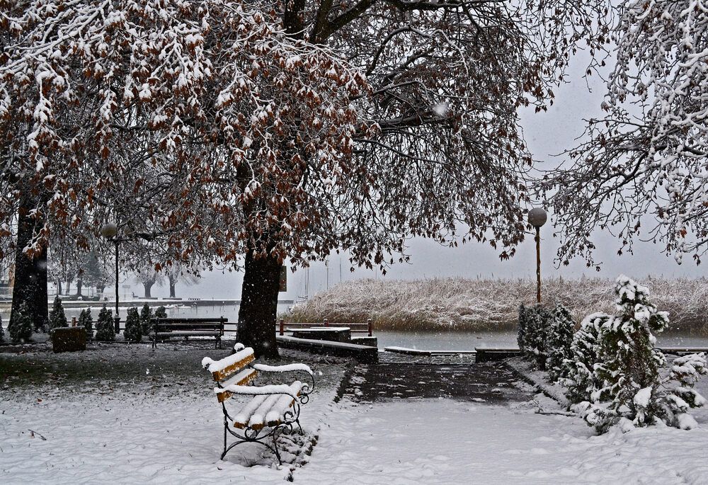 Photograph by Stojan Saveski