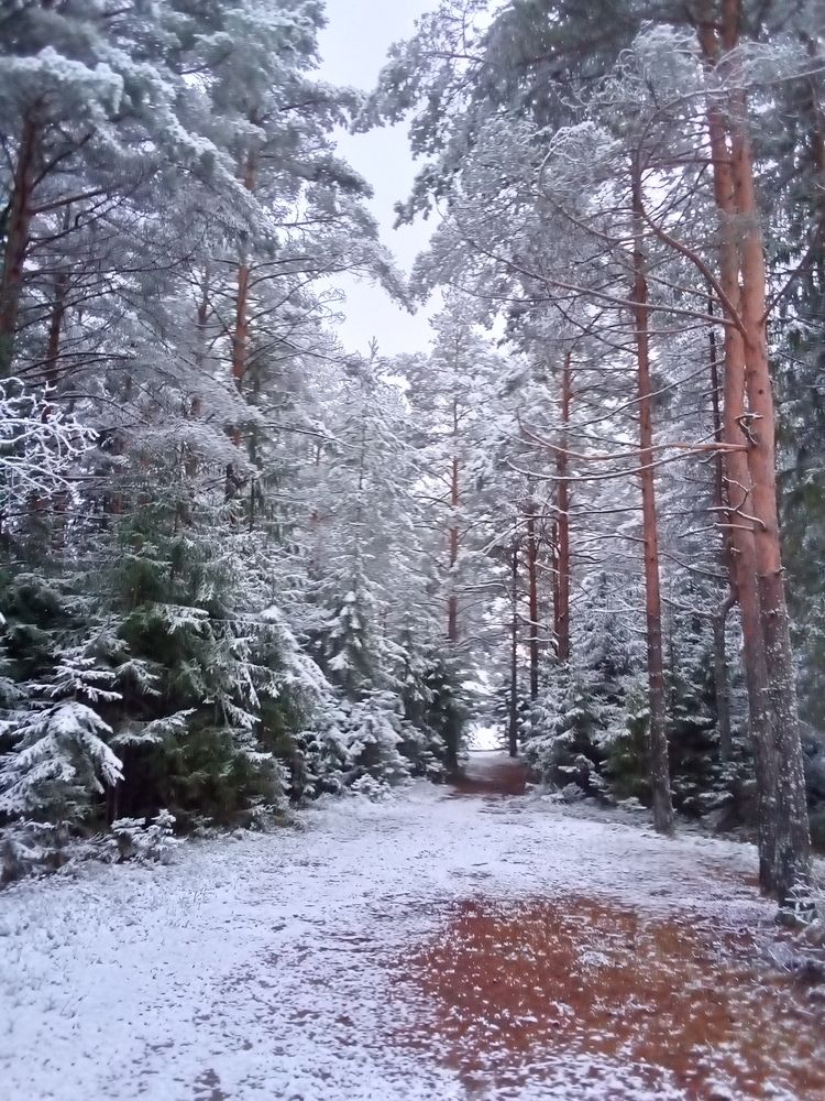 Photograph by Сергей Кочнев