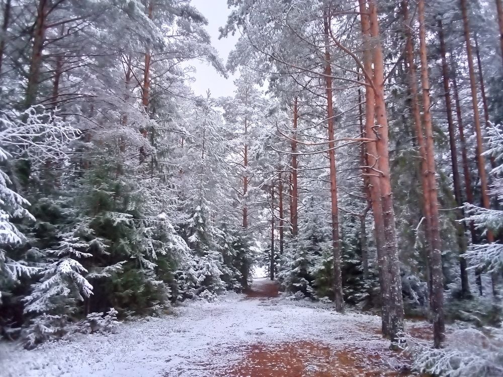 Photograph by Сергей Кочнев