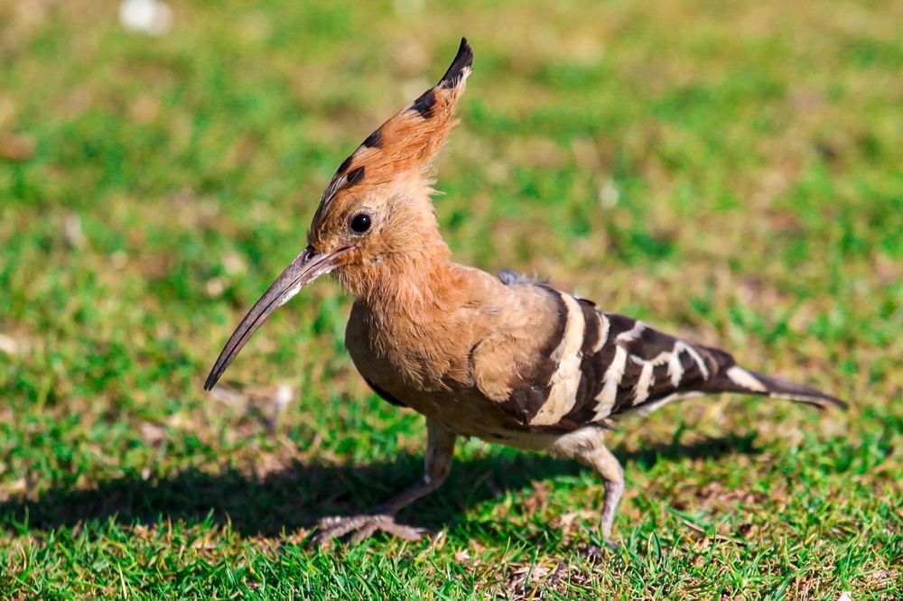 Photograph by Борис Лишневский