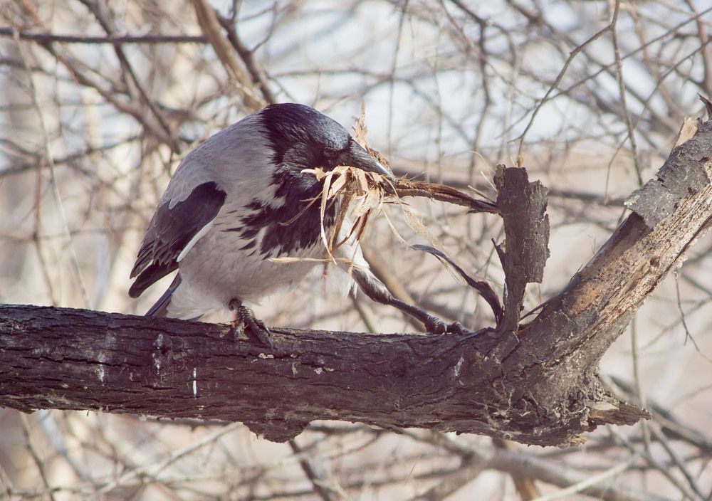 Photograph by Елена