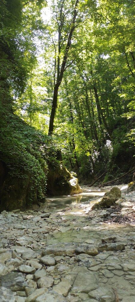 Photograph by Ирина Бочарова