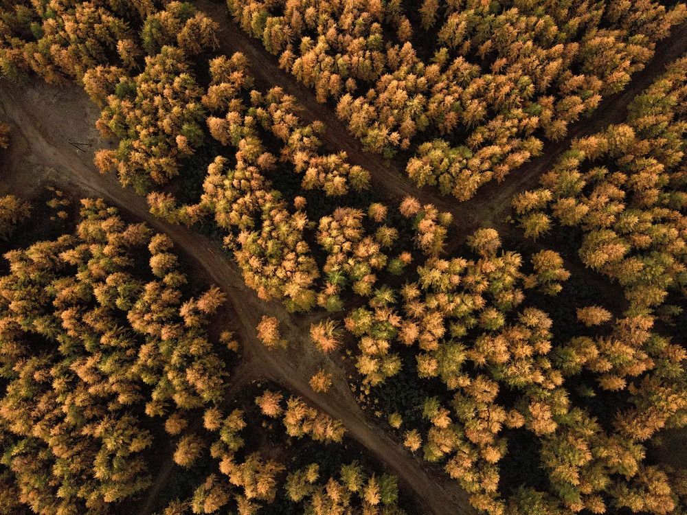 Фотография автора Наталья Вертугина