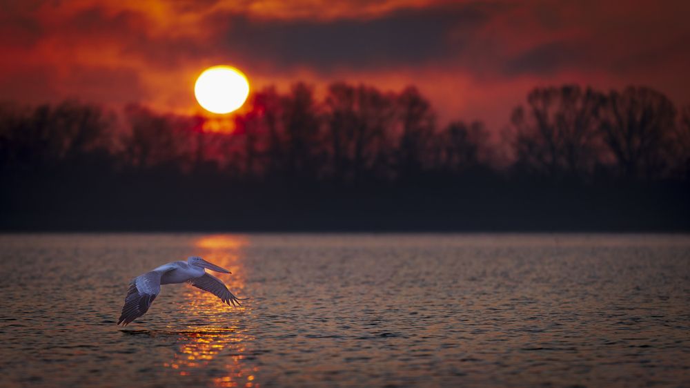 Photograph by Ruzdi Ekenheim