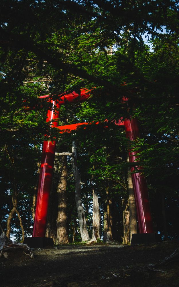 Photograph by Thong Tran Quoc