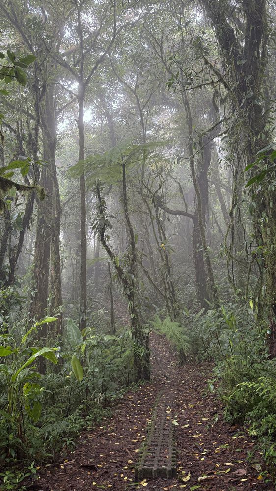 Photograph by Maria Volnova