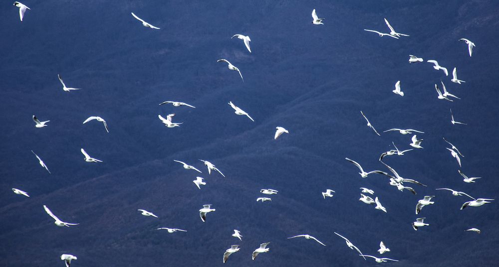 Photograph by Stojan Saveski