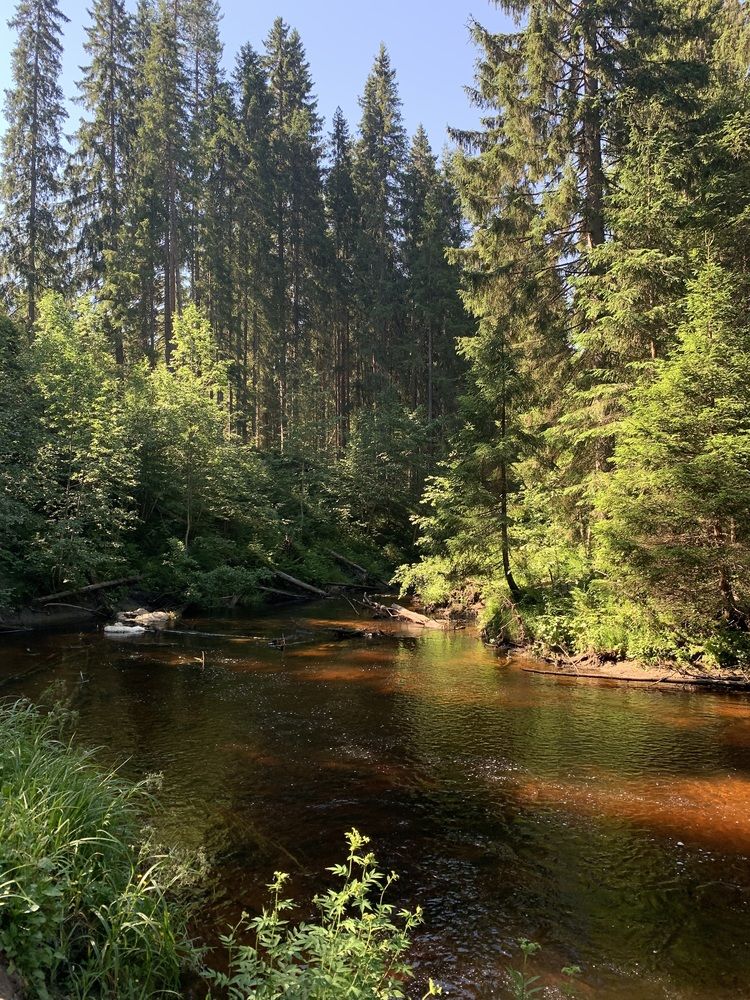 Фотография автора Ирина Шпаковская