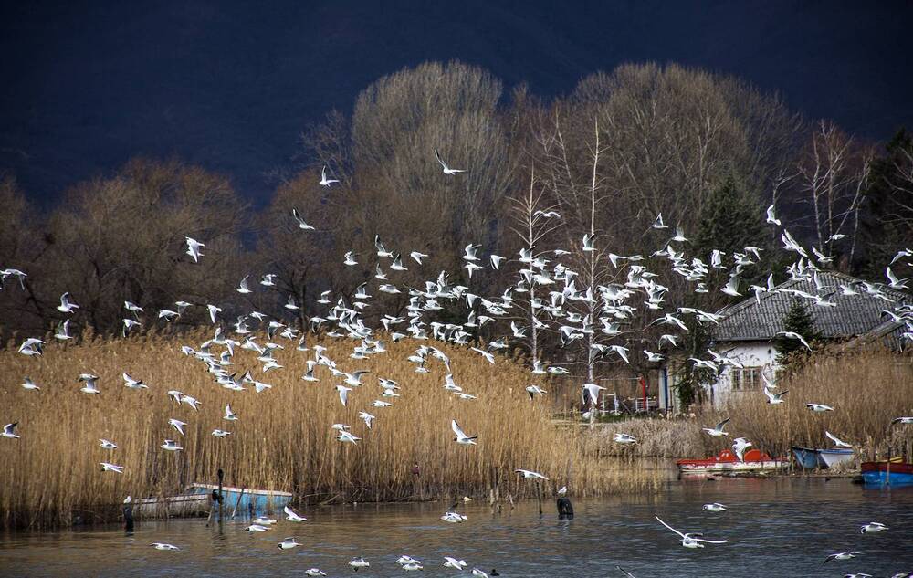 Photograph by Stojan Saveski